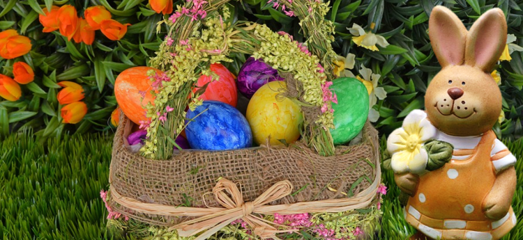 Basket of Eggs and Bunny