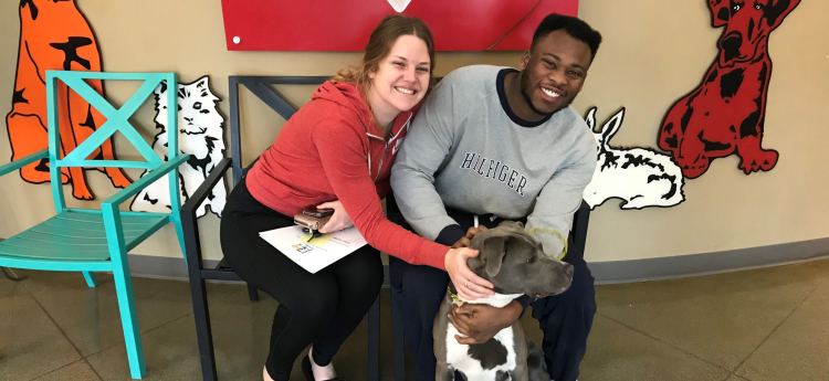 Couple with their new rescue dog.
