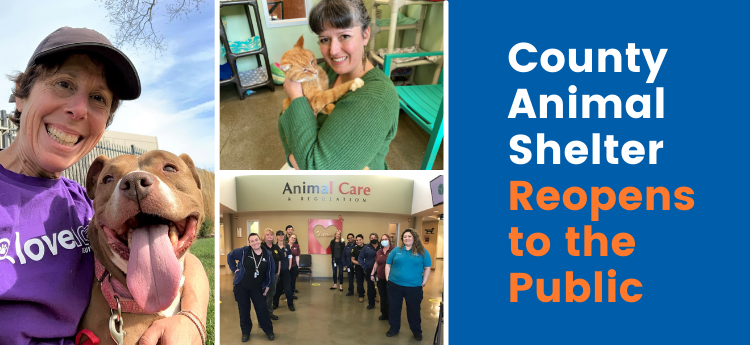 Collage of shelter staff and volunteer photos - County Animal Shelter Reopens to the Public 