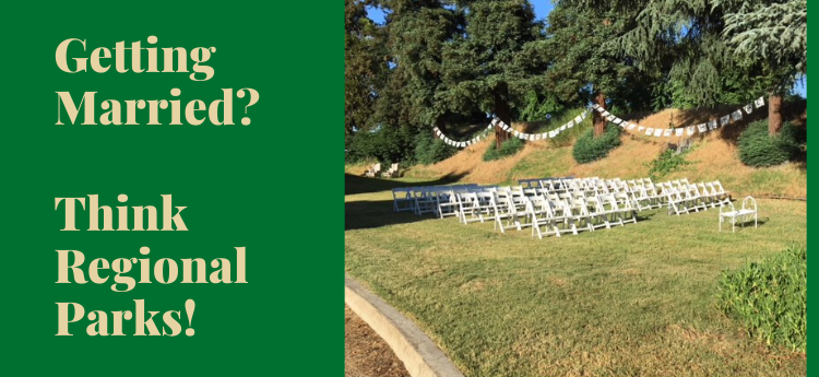 Getting Married? Think Regional Parks - Wedding Ceremony at Jean Harvie Community Center