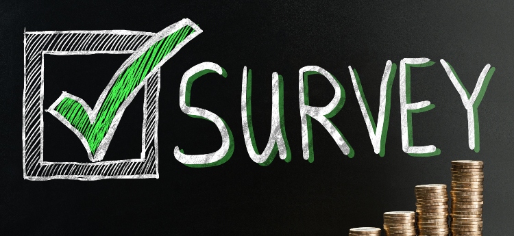 The word "Survey" written on a chalkboard with stacked coins in the corner 