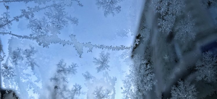 View from a frosted Window
